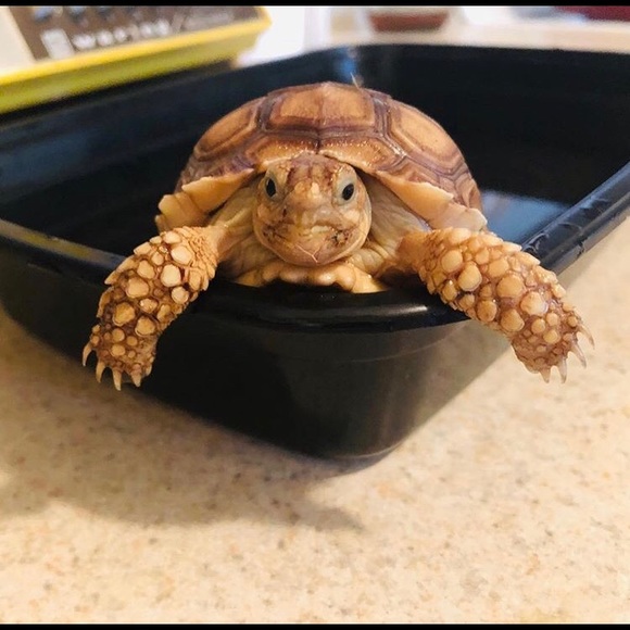 Meet your Posher, Daniela - Picture 5 of 8